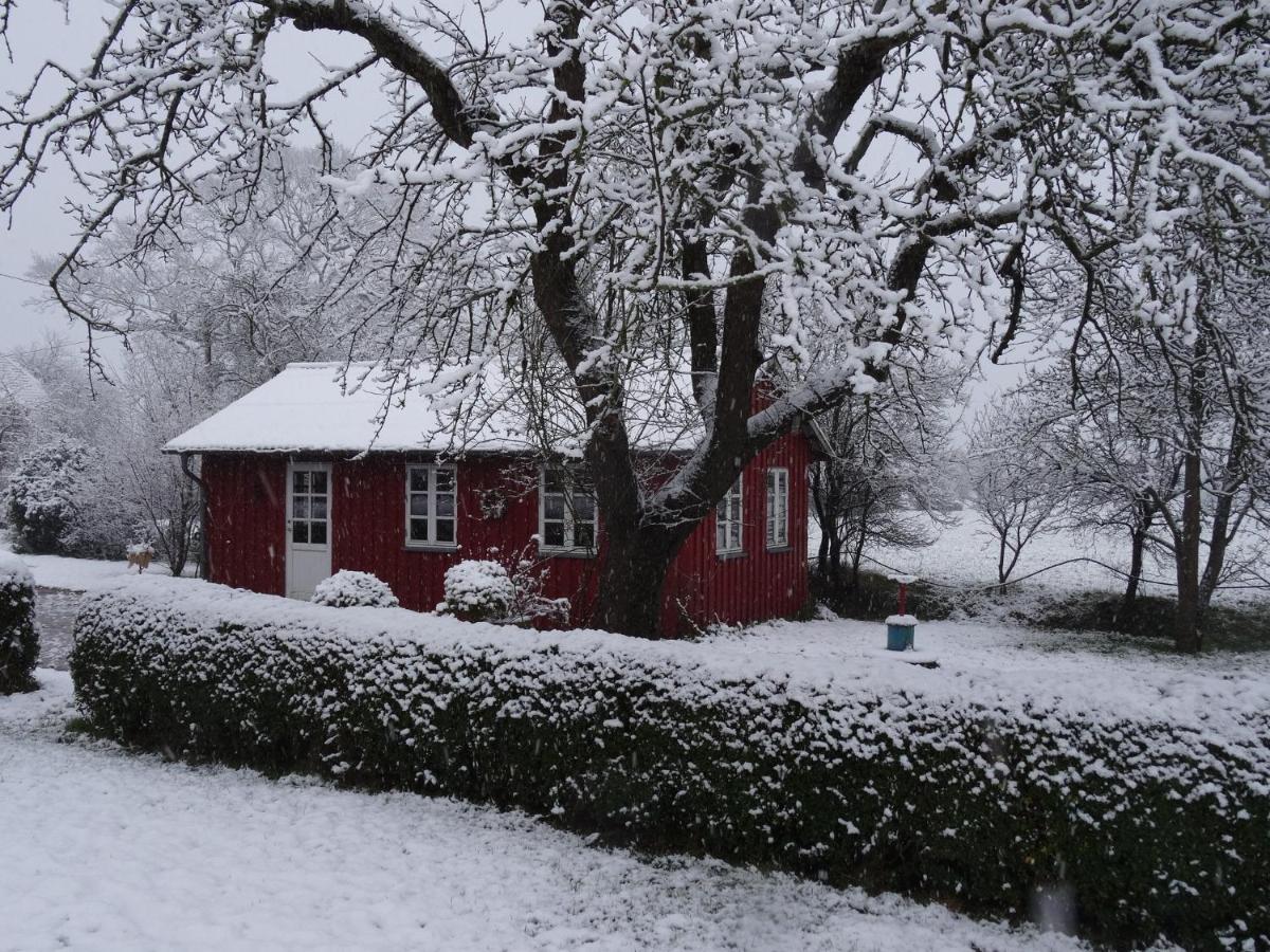 Hansenhof Kappeln Luaran gambar